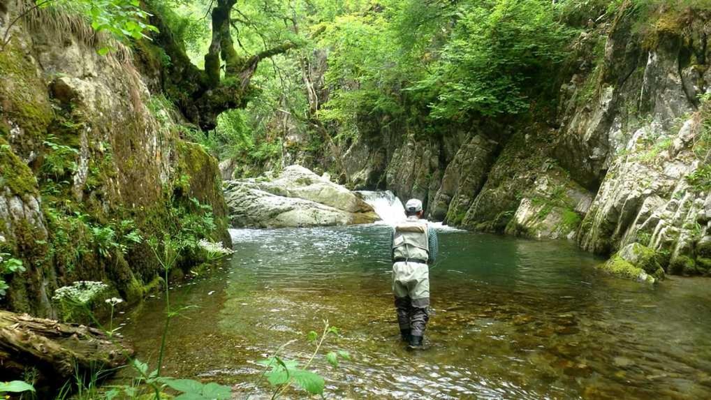 Gites Communaux A Lourdios Exterior foto